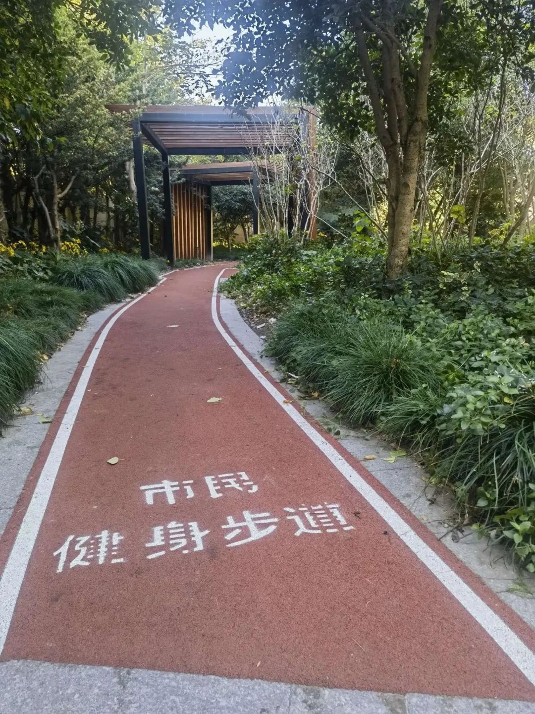 球盟会入口：健身的地方变多了！15分钟社区体育生活圈越来越好丨去一线 到现场(图3)
