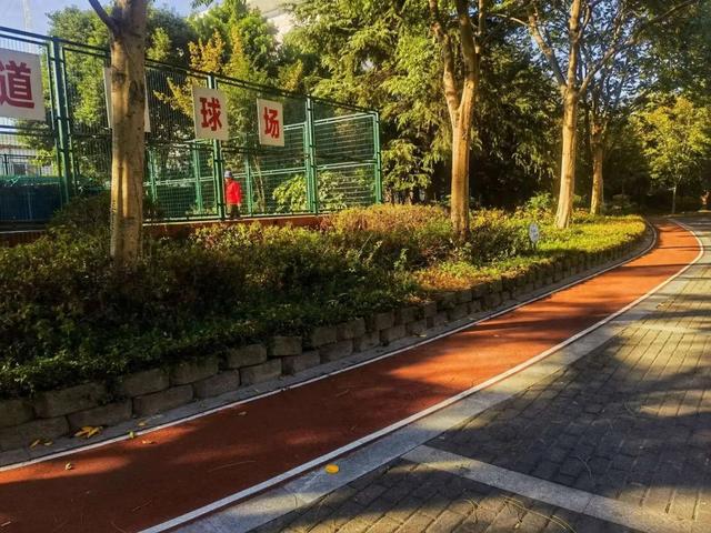 “家门口”能健身的地方变多了丨民生答卷⑭