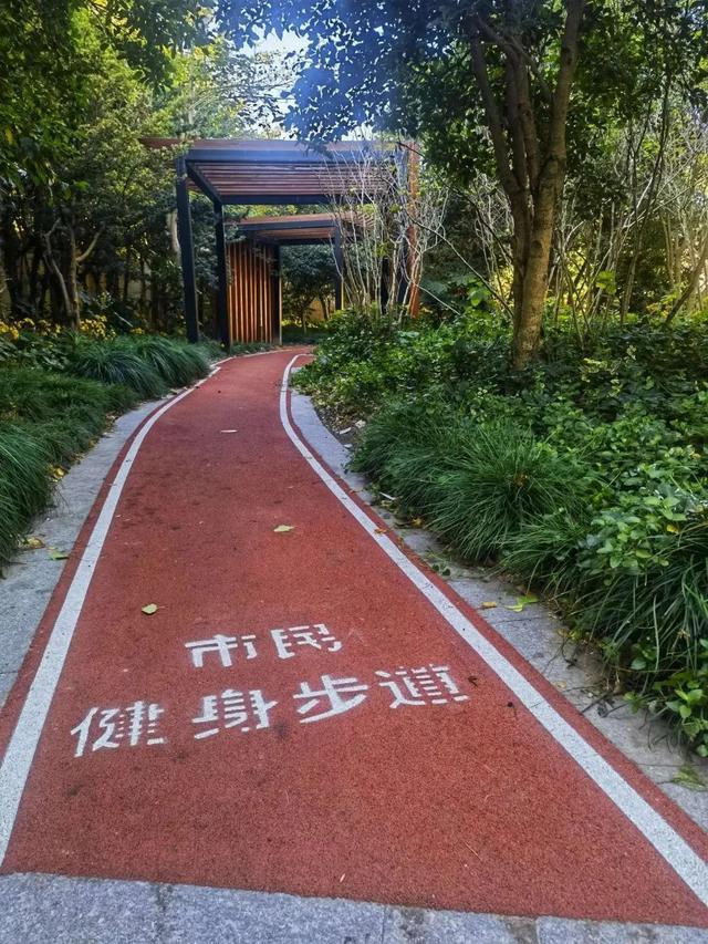 “家门口”能健身的地方变多了丨民生答卷⑭(图3)