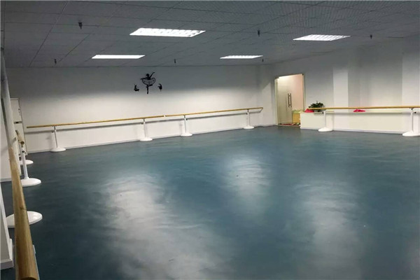 球盟会入口：车库地板板块用什么铺-DDK帝肯地垫