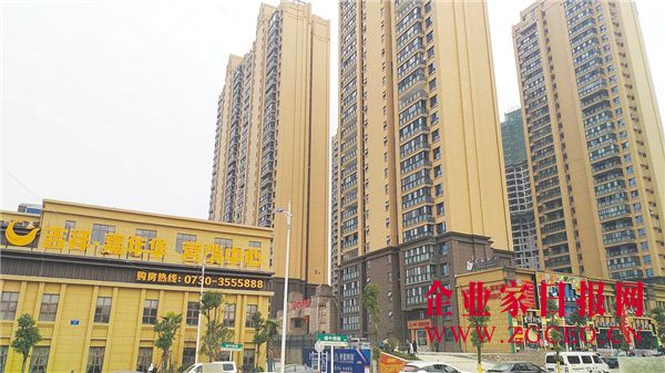 青青小草前途无量 源源善行不负初心(图3)