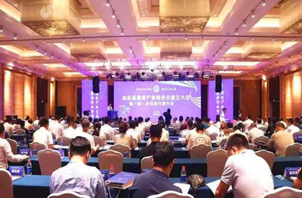 球盟会入口：山东体育“十三五”回眸——百花齐放 托举体育产业乘势而上(图6)