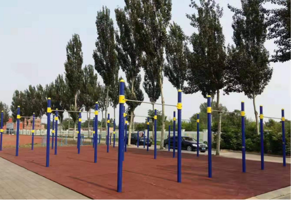 北京市育英中学风雨操场设计建设案例(图5)