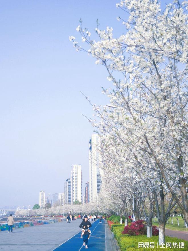 美出圈！杭州钱塘江畔最美跑道20张美图 画风拉满喜迎亚运氛围感(图3)