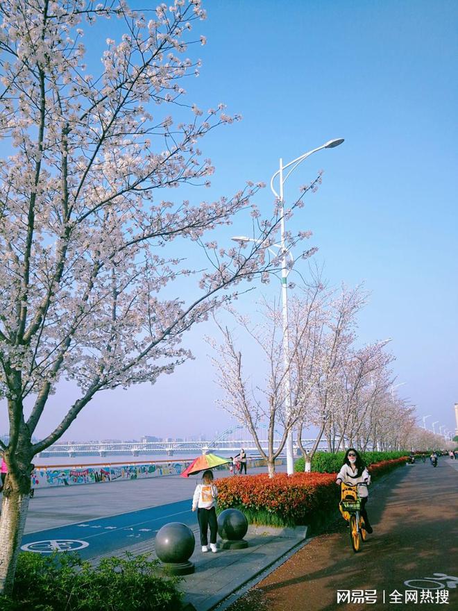 美出圈！杭州钱塘江畔最美跑道20张美图 画风拉满喜迎亚运氛围感(图12)