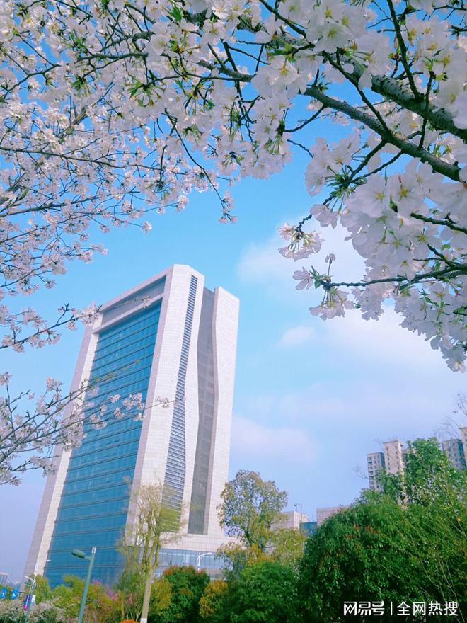 美出圈！杭州钱塘江畔最美跑道20张美图 画风拉满喜迎亚运氛围感(图13)