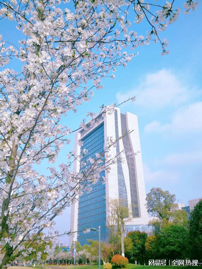 美出圈！杭州钱塘江畔最美跑道20张美图 画风拉满喜迎亚运氛围感(图14)