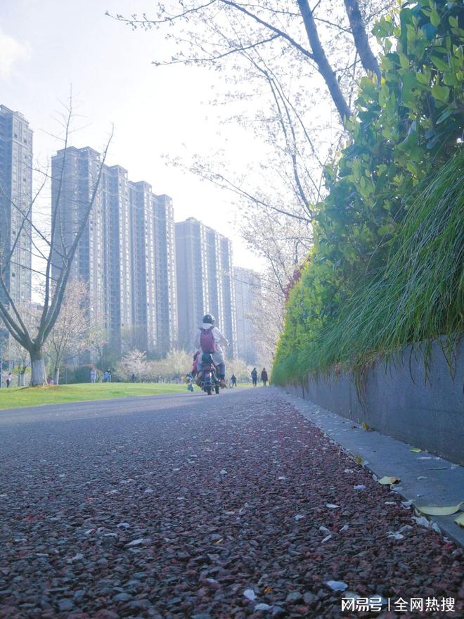 美出圈！杭州钱塘江畔最美跑道20张美图 画风拉满喜迎亚运氛围感(图15)