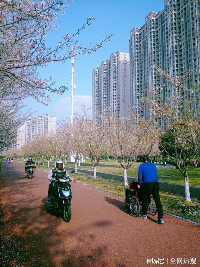 美出圈！杭州钱塘江畔最美跑道20张美图 画风拉满喜迎亚运氛围感(图22)