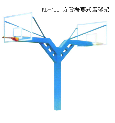江苏金陵体育器材股份有限公司关于收到《深圳证券交易所关于江苏金陵体育器材股份有限公司申请向不特定对象发行可转换债券的审核
