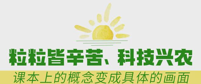 在风吹麦浪的金色季节带孩子重新认识“种地”这件事(图2)
