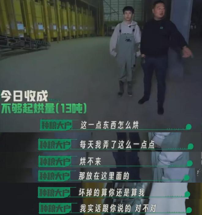在风吹麦浪的金色季节带孩子重新认识“种地”这件事(图6)