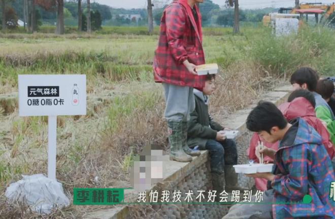 在风吹麦浪的金色季节带孩子重新认识“种地”这件事(图5)