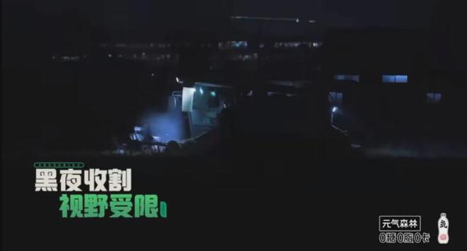 在风吹麦浪的金色季节带孩子重新认识“种地”这件事(图8)