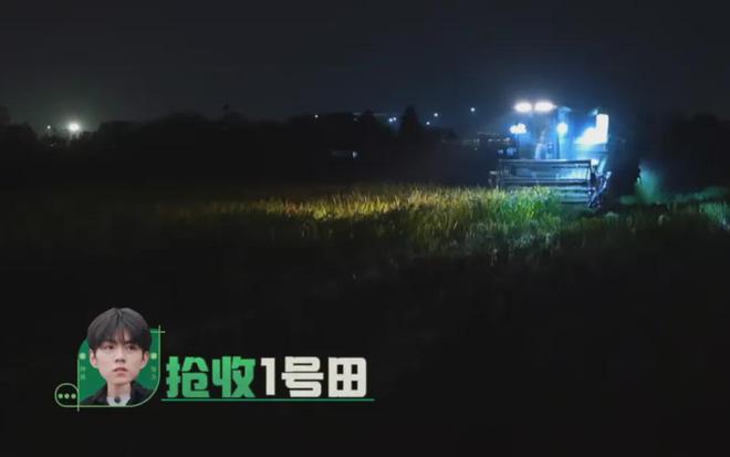 在风吹麦浪的金色季节带孩子重新认识“种地”这件事(图7)
