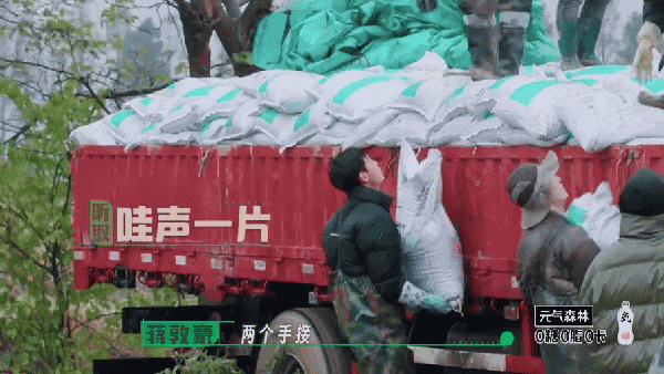 在风吹麦浪的金色季节带孩子重新认识“种地”这件事(图12)
