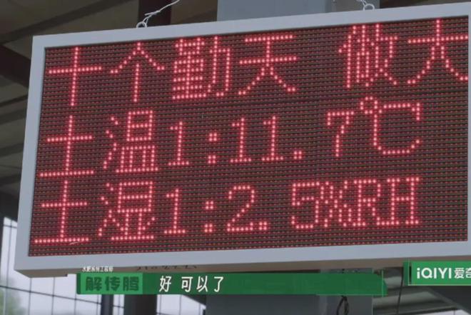 在风吹麦浪的金色季节带孩子重新认识“种地”这件事(图15)