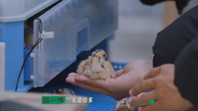 在风吹麦浪的金色季节带孩子重新认识“种地”这件事(图19)