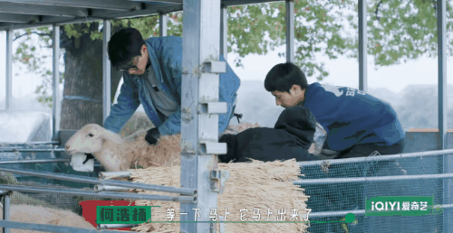 在风吹麦浪的金色季节带孩子重新认识“种地”这件事(图21)