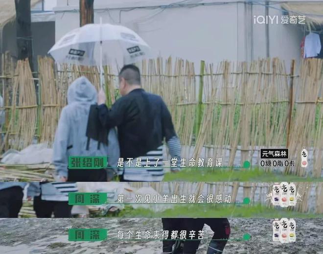 在风吹麦浪的金色季节带孩子重新认识“种地”这件事(图24)