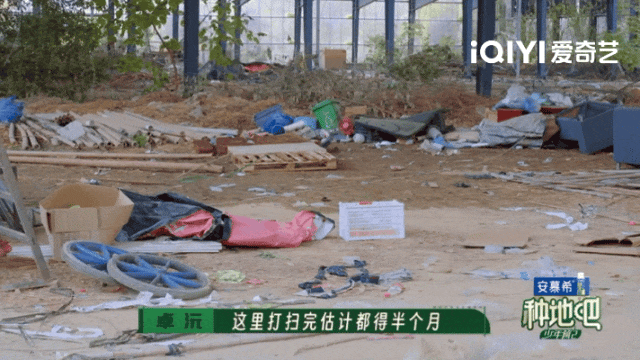 在风吹麦浪的金色季节带孩子重新认识“种地”这件事(图32)