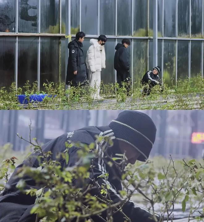 在风吹麦浪的金色季节带孩子重新认识“种地”这件事(图37)
