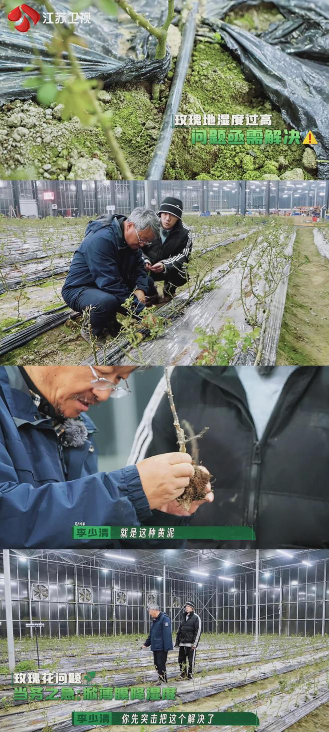 在风吹麦浪的金色季节带孩子重新认识“种地”这件事(图36)