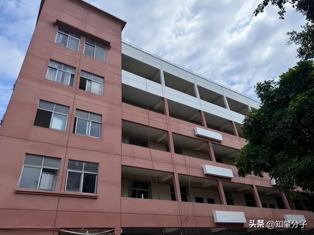 球盟会：实景图来袭！肇庆这些学校“大变身”！(图3)