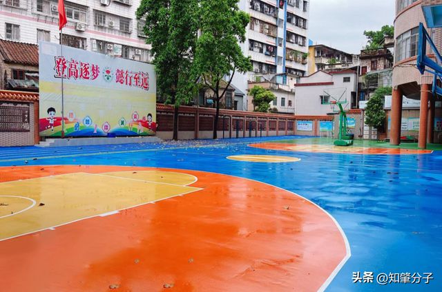 球盟会：实景图来袭！肇庆这些学校“大变身”！