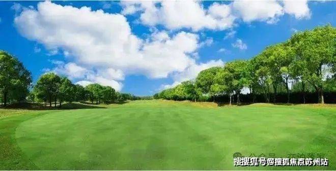 五个院子-上海(五个院子的别墅售楼处)首页-2024年最新房价户型容积率配套(图18)
