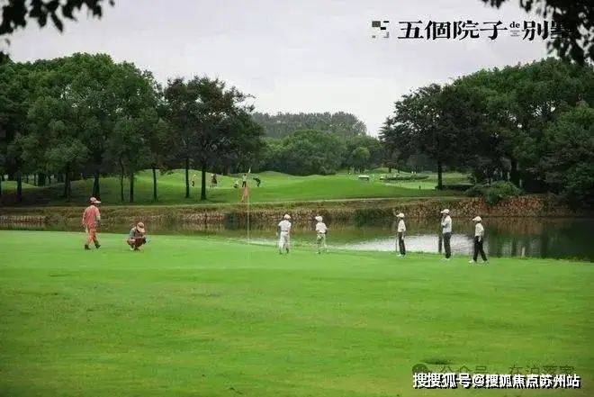 五个院子-上海(五个院子的别墅售楼处)首页-2024年最新房价户型容积率配套(图19)