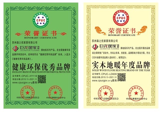 巨龙逸家地板：荣耀印证实力辉煌续写篇章(图2)