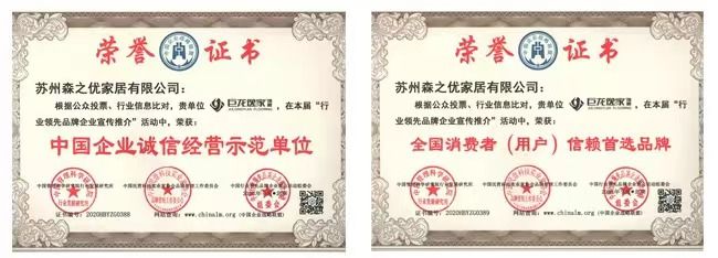 巨龙逸家地板：荣耀印证实力辉煌续写篇章(图4)