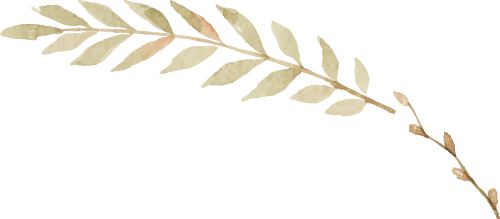 最高2万元！慈溪60岁以上老人可申请适老化改造(图3)
