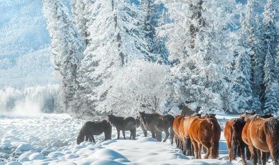 球盟会入口：国内九大赏冰雕冰灯好去处(图8)