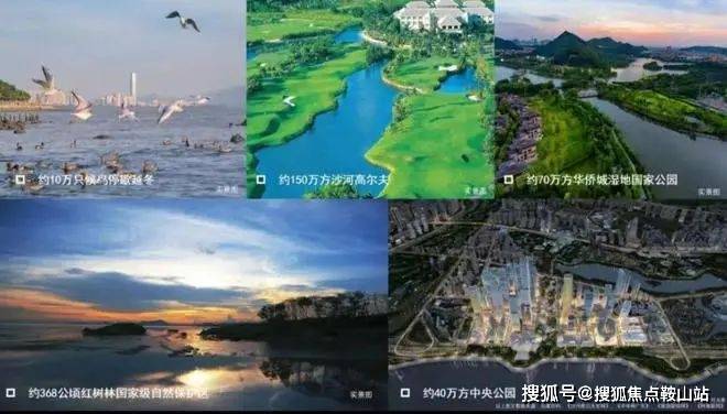 球盟会：《深圳SIC超总项目简介~最新动态~业主评价、反馈~项目缺点(图22)