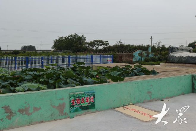 村内废水回收成“肥水”拧开阀门浇菜园低碳绿色生活不孬！(图3)