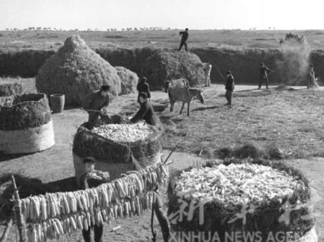 沈阳市1960年老照片