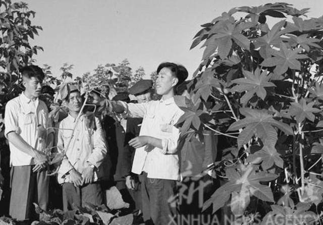 沈阳市1960年老照片(图3)