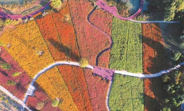 金隅中交山湖云筑楼盘电话号码多少