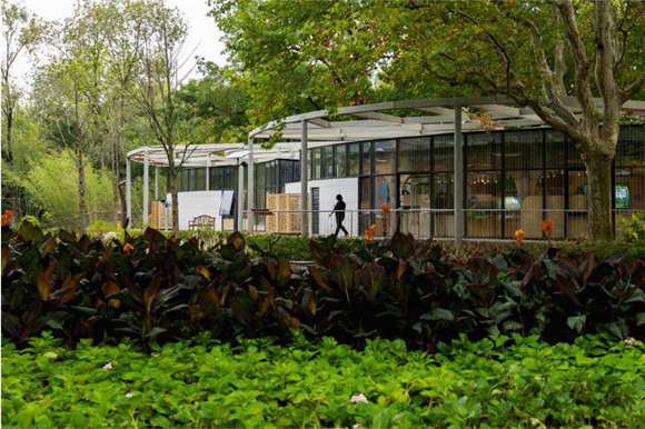 “这些公园太适合‘遛娃’了！”(图3)