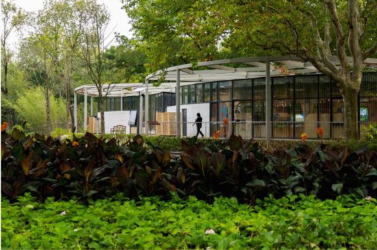 “这些公园太适合‘溜娃’了！”儿童友好“公园+”理念让孩子们跑起来(图3)