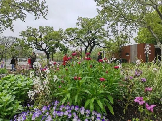 “这些公园太适合‘溜娃’了！”儿童友好“公园+”理念让孩子们跑起来(图5)