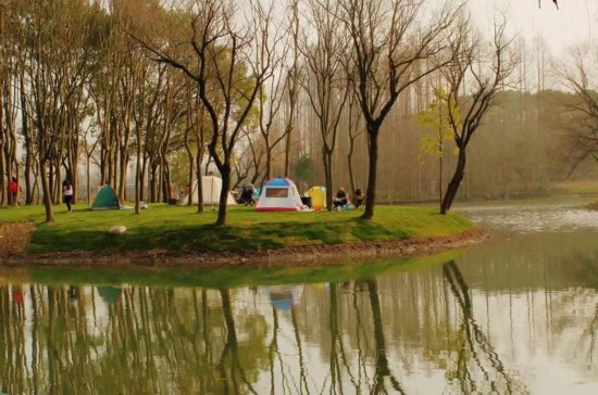 “这些公园太适合‘溜娃’了！”儿童友好“公园+”理念让孩子们跑起来(图7)