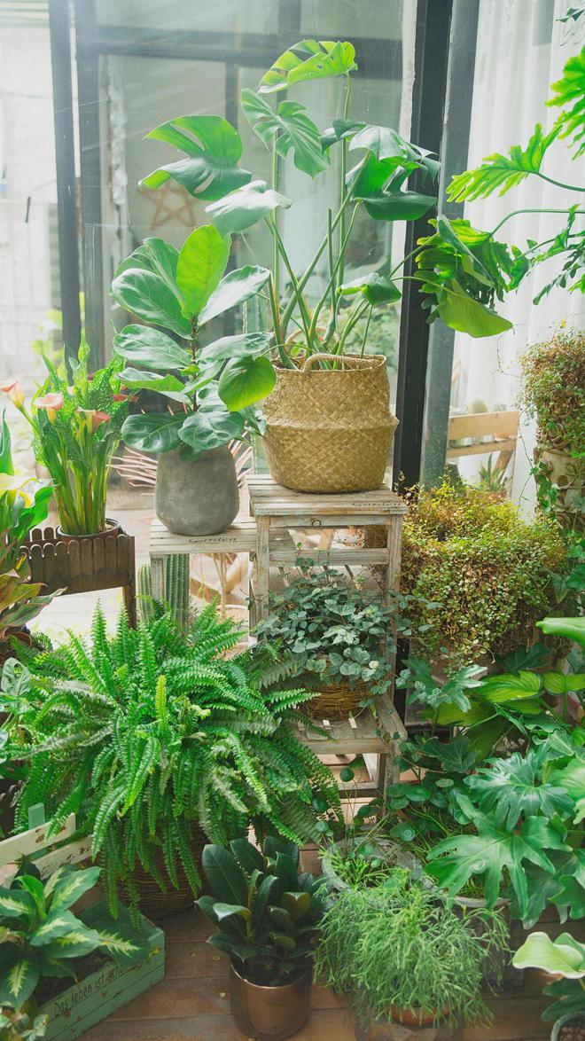 五个院子的别墅2024售楼处电话-五个院子的别墅官方网页-(图31)