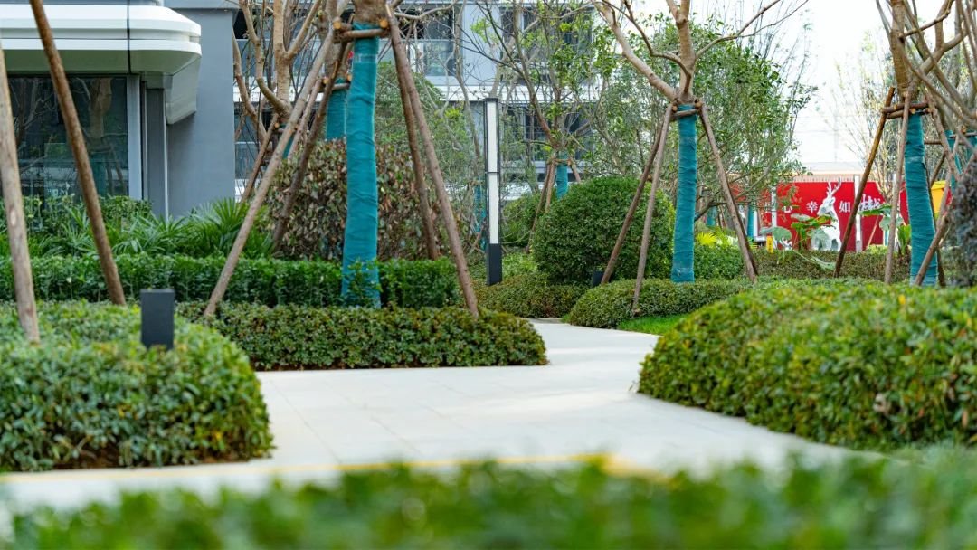 2025温州交付首秀樾品园表现怎么样？(图2)