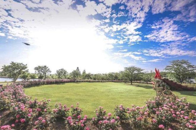 2024金地新乐里(金地新乐里)官方网站-+松江+上海房天下(图13)