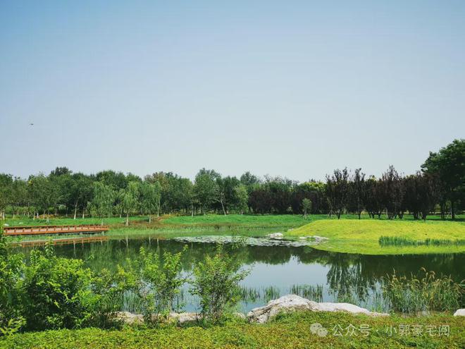 中海丰和叁号院(售楼处)官方网站-中海丰和叁号院-2024首页欢迎您(图9)