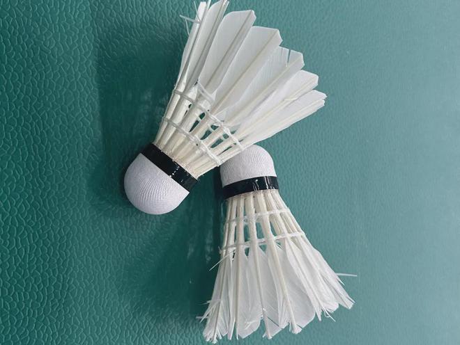 球盟会入口：抢疯啦！朝阳预约羽毛球场地太实惠快来！