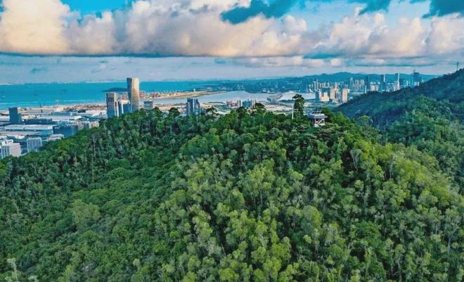 1978半岛擎峯价格多少钱一平方折扣优惠活动详细价格公布(图10)